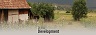 Rural Development