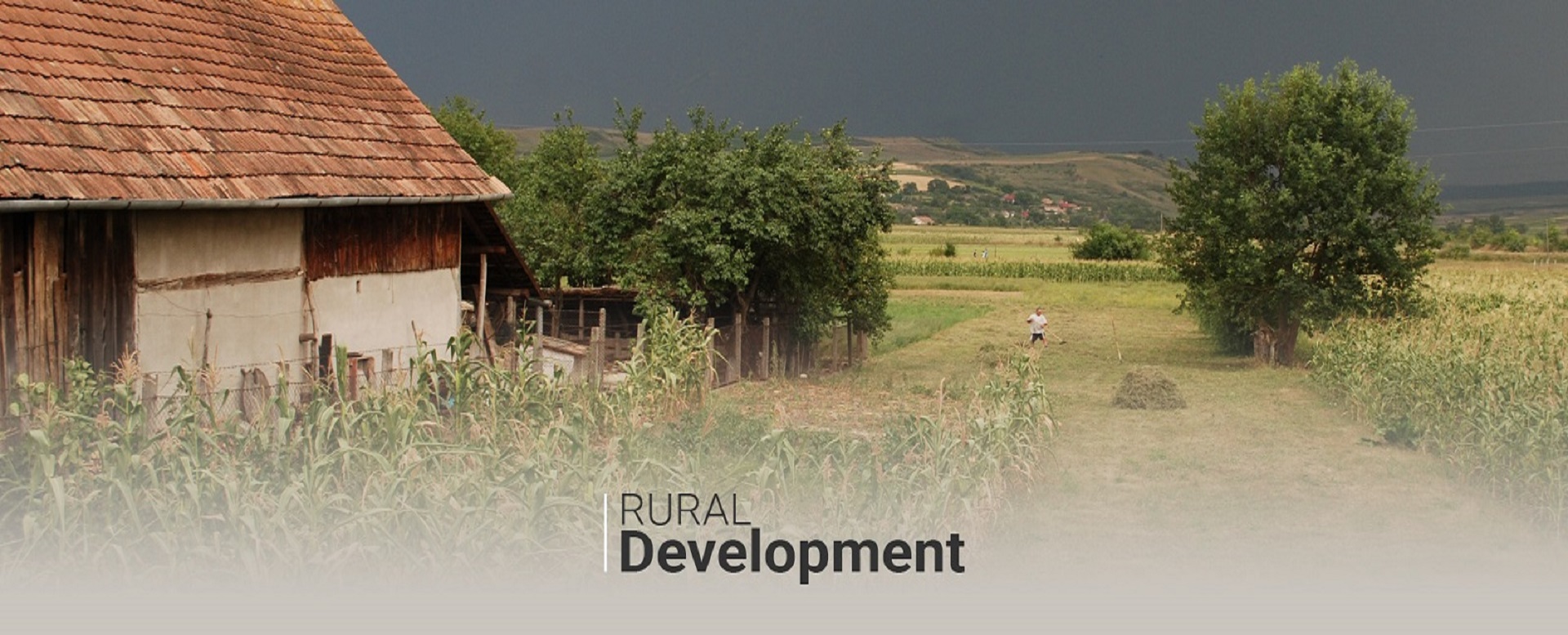 Rural Development